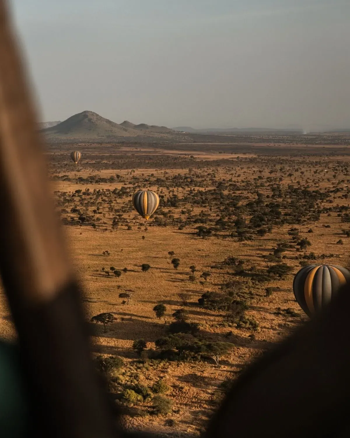 Midrange Tanzania safari accommodation and wildlife