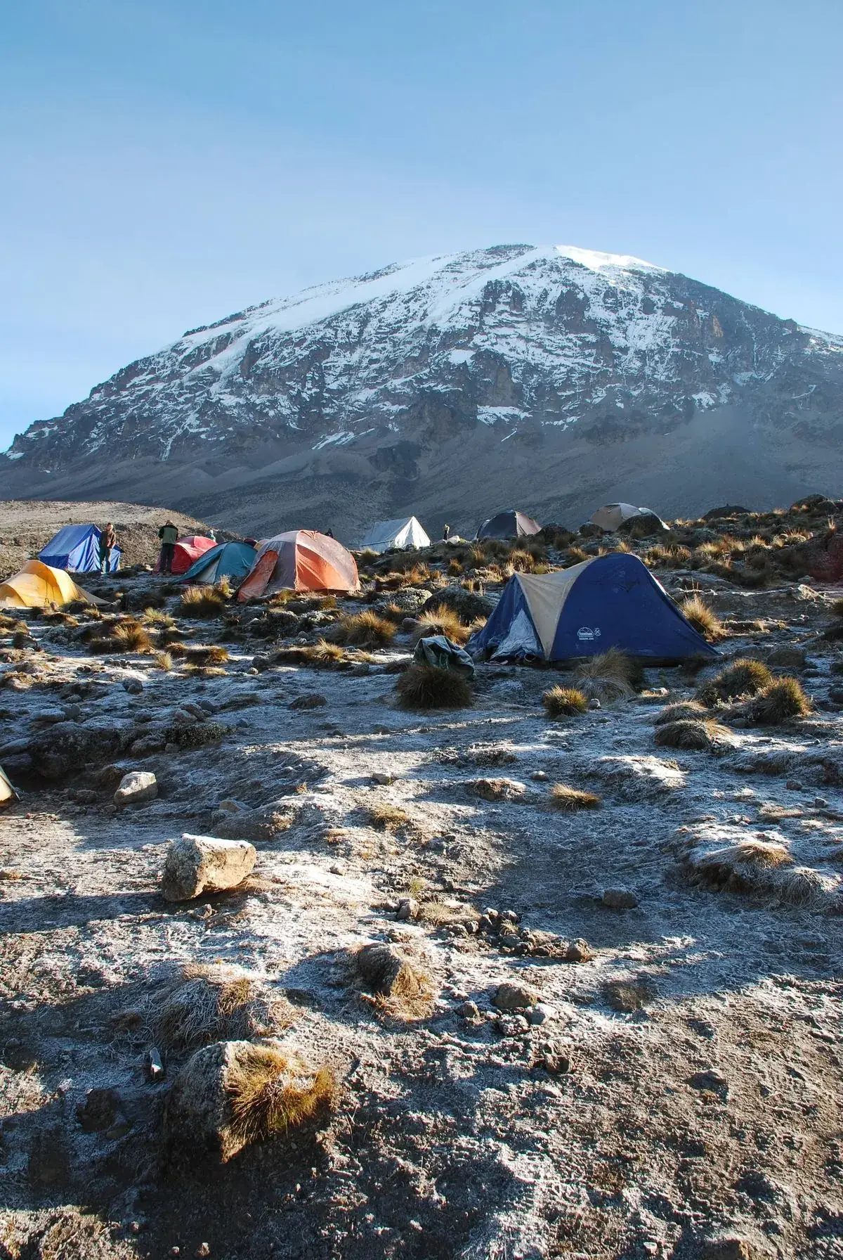 Safari Kilimanjaro and Zanzibar package